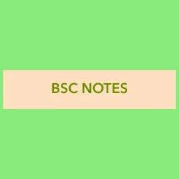 Значок BSC NOTES